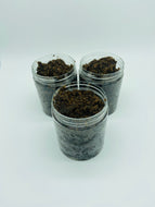 Coffee Sugar Scrub